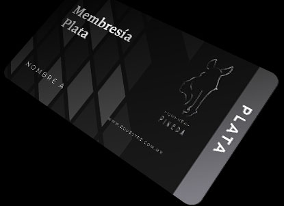 Membresía Plata