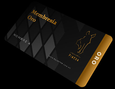 Membresía Oro
